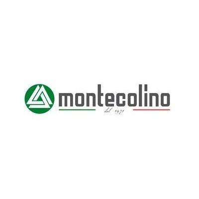 Montecolino